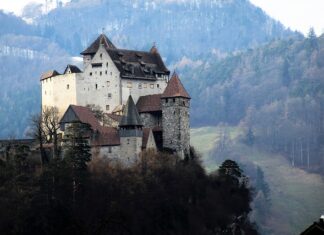 Czym najlepiej obsadzić skarpę?