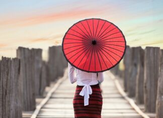 Co sadzić w pełnym słońcu? Co sadzić w pełnym słońcu?