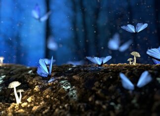 Co zrobić żeby drewno nie gniło w ziemi?