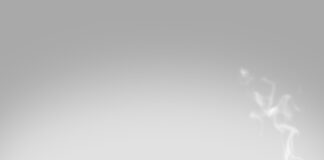 Czy tuje są szkodliwe dla drzew owocowych?