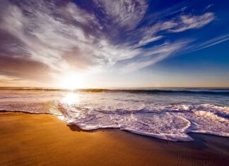 Jak samemu zrobić piękny ogród? Jak samemu zrobić piękny ogród?