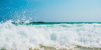 Jak wzbogacić piaszczystą glebę?