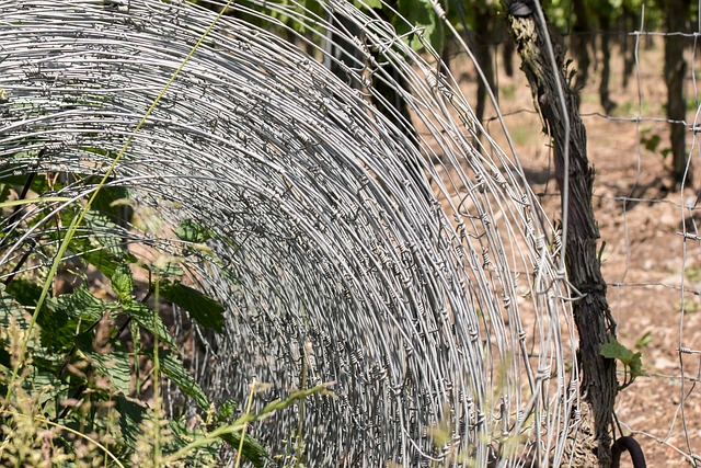 Jak szybko odgrodzić się od sąsiadów? Jak szybko odgrodzić się od sąsiadów?