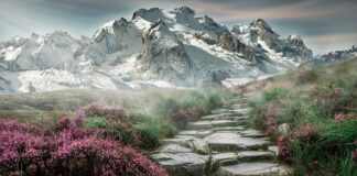 Co pod kamienie na skarpie?