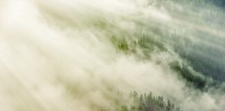 Co oznacza nachylenie 1 2?