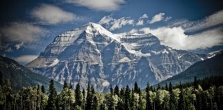 Jak zamontować słupki w ziemi?