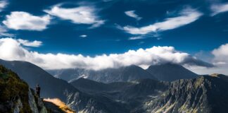 Co grozi za zakopanie psa w ogrodzie?