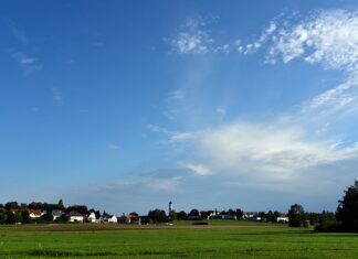 Co posadzić na pustej działce? Co posadzić na pustej działce?