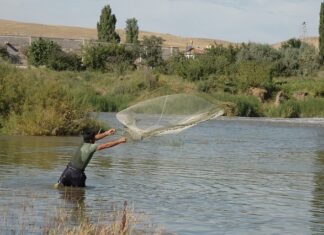 Jak się robi siatkę ogrodzeniową?