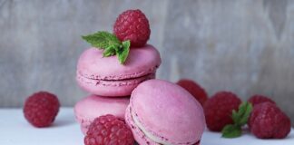 Co to jest warstwa Wegetacyjna?