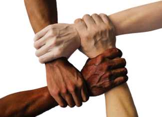 Jakie drzewa można wyciąć bez zezwolenia 2023? Jakie drzewa można wyciąć bez zezwolenia 2023?