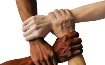 Jakie drzewa można wyciąć bez zezwolenia 2023? Jakie drzewa można wyciąć bez zezwolenia 2023?