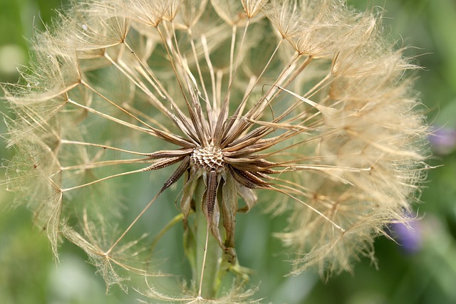 Co zrobić z liśćmi sąsiada? Co zrobić z liśćmi sąsiada?