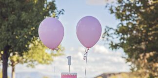 Co trzeba zrobić aby podzielić działkę?