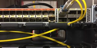 Co się robi w technikum ogrodniczym?