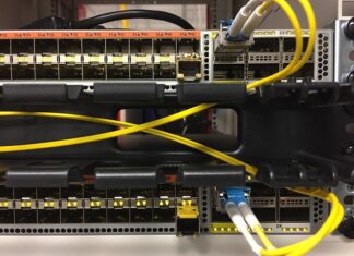 Co się robi w technikum ogrodniczym? Co się robi w technikum ogrodniczym?