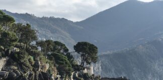 Ile kosztuje znalezienie słupka granicznego?