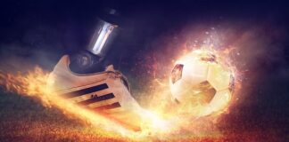 Ile kosztuje cięcie żywopłotu?