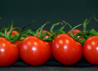 Ile bylin na m2? Ile bylin na m2?