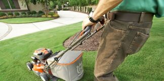 Jak urządzić przydomowy ogródek?