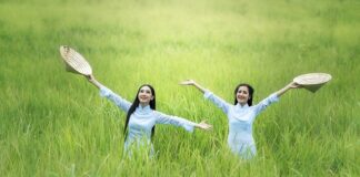 Jaka powinna być szerokość rabaty?