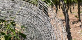 Jak tanio odgrodzić się od sąsiada?