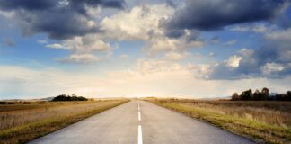 Co posadzić obok chodnika?