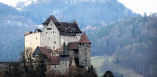 Co zrobić ze skarpą w ogrodzie?