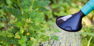 Czym zalać słupki?