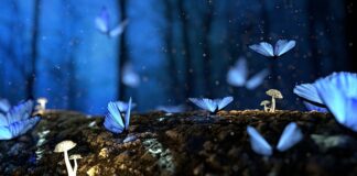 Jakie drewno nie gnije w ziemi?