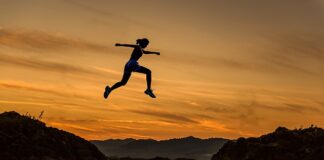 Co sadzić na szybki żywopłot?