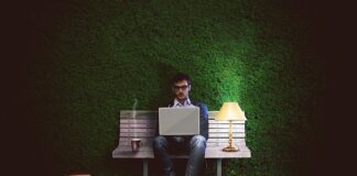 Jak wysoki może być żywopłot na granicy działki?