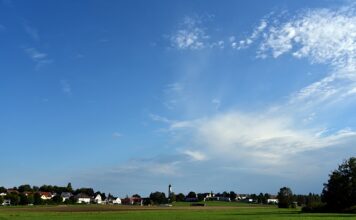 Co teraz można robić na działce?