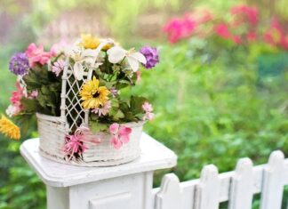 Ile kosztuje 1 przęsło ogrodzeniowe?