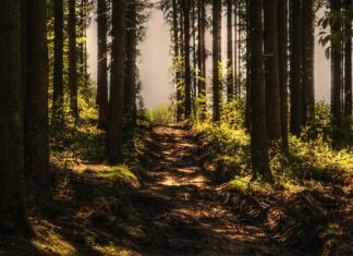 Czy nagrywanie sąsiada jest legalne?