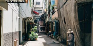 Ile kosztuje sprzątanie ogrodu?