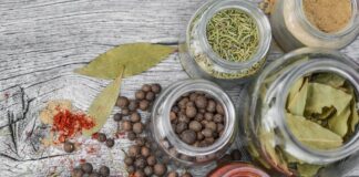 Czy paprykę można sadzić obok ogórków?