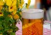 Jak zrobić ogródek od podstaw?