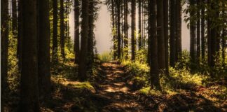 Jak sprawdzić czy sąsiad mnie nagrywa?