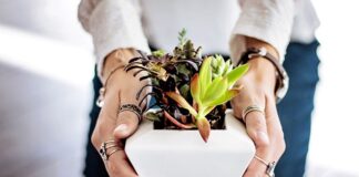 Co kiedy się sadzi?