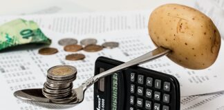 Ile kosztuje utrzymanie ogrodu?