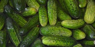 Czy cukinia może rosnąć koło ogórków?