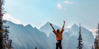 Jak zaprojektować ogród darmowy program?