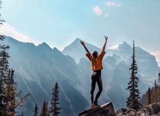 Jak zaprojektować ogród darmowy program?