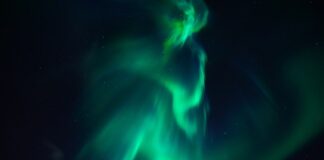 Co sadzić na słabej ziemi?