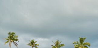 Co posadzić dla zysku?