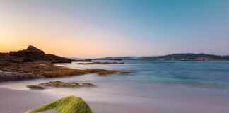 Ile trzeba zapłacić za godzinę pracy w ogrodzie?