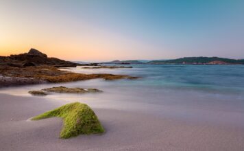 Ile trzeba zapłacić za godzinę pracy w ogrodzie?