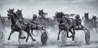 Jak oddzielić się od sąsiada?