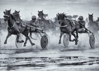 Jak oddzielić się od sąsiada?